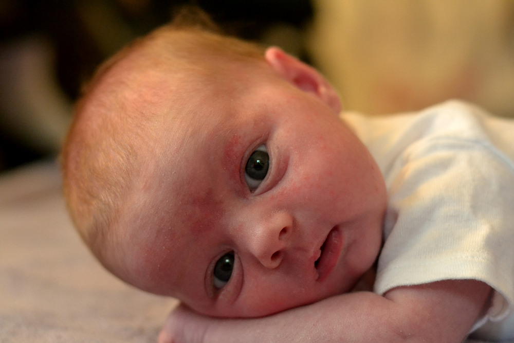 A Newborn Family Photo Session | Willow